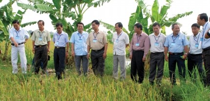 Businesses’ engagement in new rural development - ảnh 2